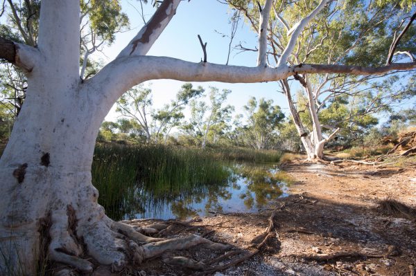 Canning Stock Route Interpretive Project