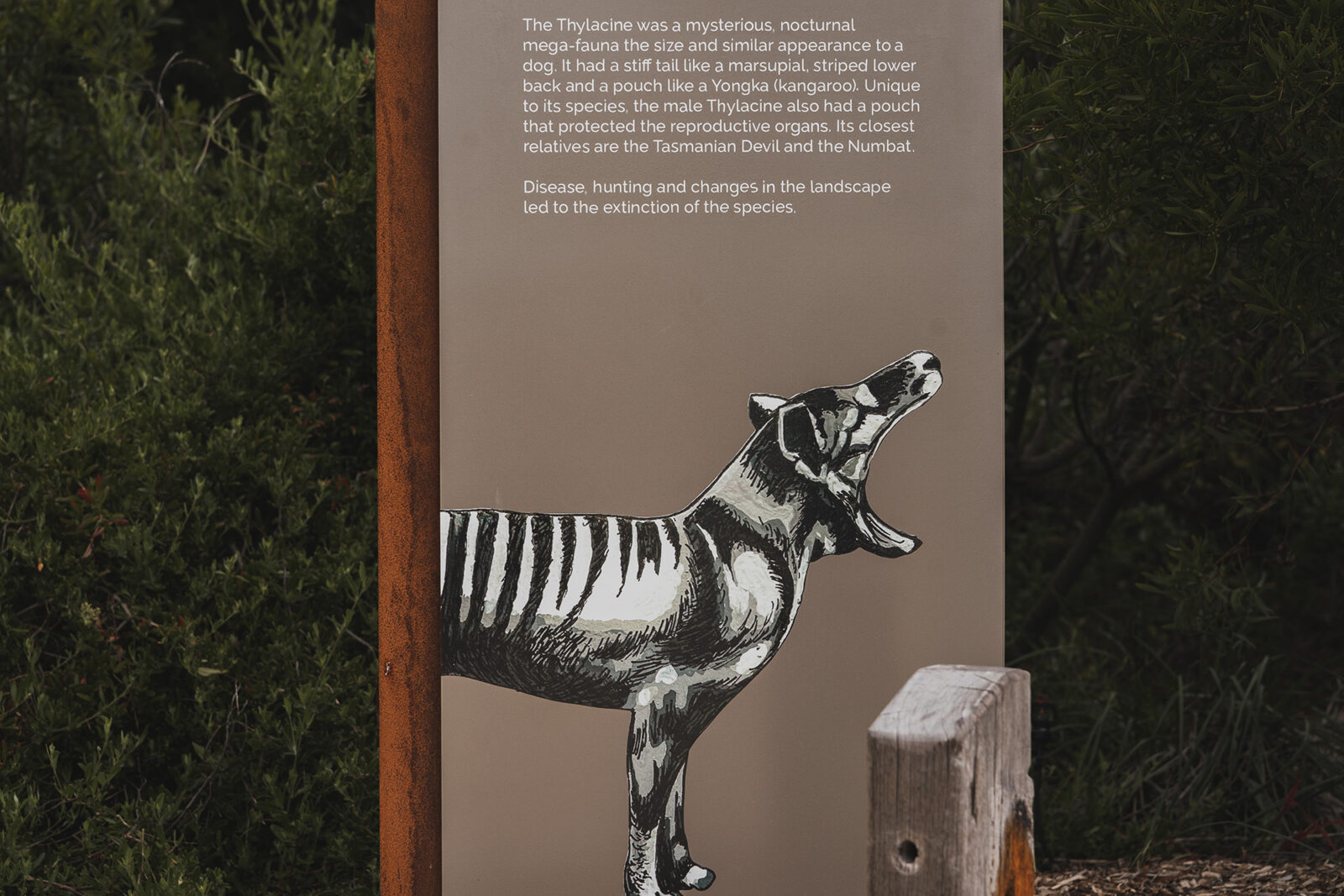 Yoganup-entry statement-interpretive signage_2