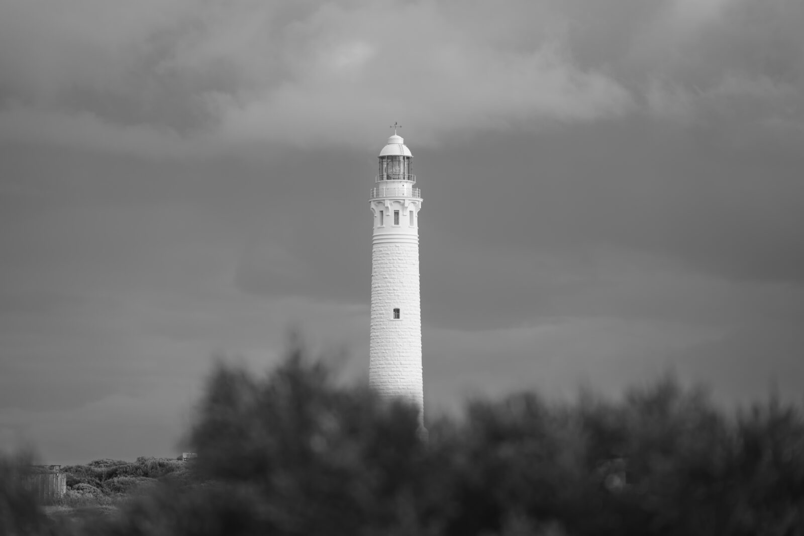 Cape to Cape Interpretive Signage Leeuwin Naturaliste 6